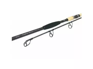 Zfish Prut Catfish Morga 2,70m/100-400g