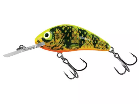 SALMO Wobler Rattlin Hornet Floating Gold Fluo Perch 5,5 CM 10,5 G