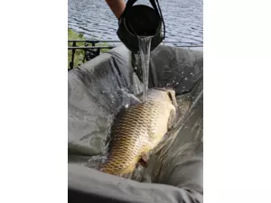 FOX Podložka CARPMASTER CRADLES AKCE