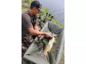 FOX Podložka CARPMASTER CRADLES AKCE