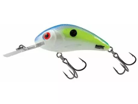 Salmo Wobler Rattlin Hornet Floating Sexy Shad -3,5 cm 3,1 g