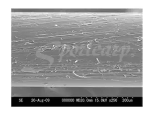 P-Line vlasec Floroclear Clear 150 m VÝPRODEJ