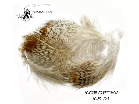 TOMMI FLY KOROPTEV - SEDLOVÉ PEŘÍ