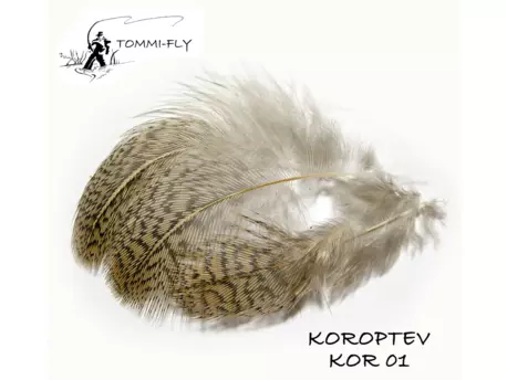 TOMMI FLY KOROPTEV - HŘBETNÍ PEŘÍ