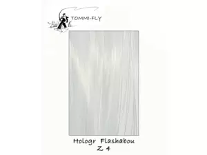 TOMMI FLY FLASHABOU