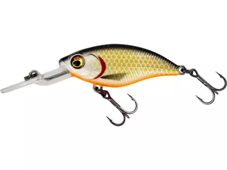 Westin Wobler BuzzBite Crankbait 5cm 6g Suspending Official Roach