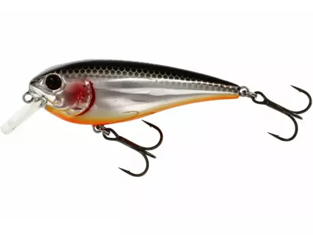 Westin: Wobler RawBite 7cm 12g Floating Steel Sardine VÝPRODEJ