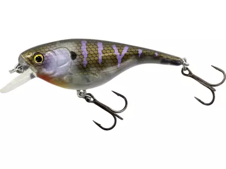 Westin: Wobler BabyBite SR Crankbait 6,5cm 12g Floating Crazy Bluegill VÝPRODEJ