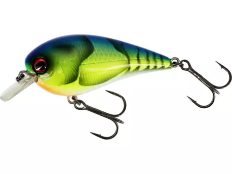 Westin: Wobler BassBite 1.5 Squarebill 6cm 13g Floating Chart. Blue Craw VÝPRODEJ