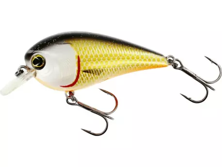 Westin: Wobler BassBite 1.5 Squarebill 6cm 13g Floating Official Roach VÝPRODEJ