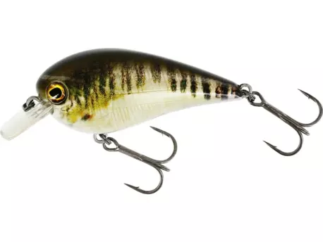 Westin: Wobler BassBite 1.5 Squarebill 6cm 13g Floating Real Minnow VÝPRODEJ