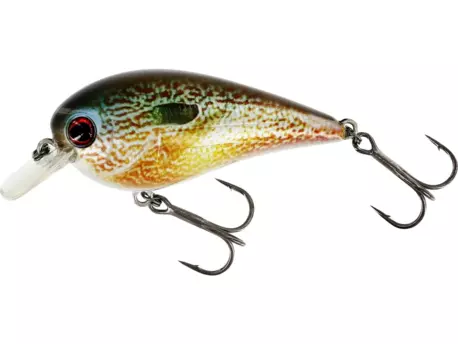 Westin: Wobler BassBite 2.5 Squarebill 7cm 16g Floating Real Pumpkinseed VÝPRODEJ