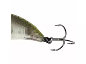 Westin Wobler BuzzBite Crankbait 4cm 4g Low Floating 3D Headlight