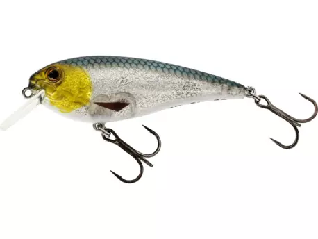 Westin Wobler RawBite Crankbait 7cm 12g Floating 3D Headlight