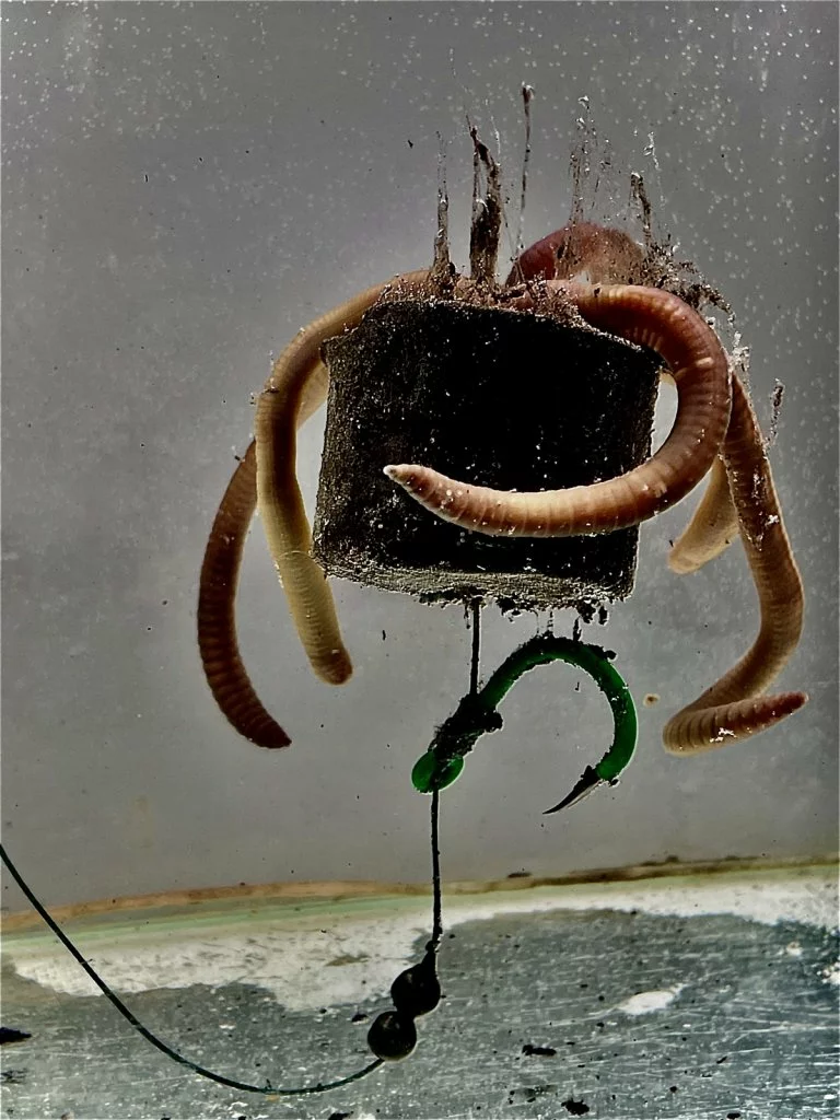 LK Baits POP-UP Pelety v dipu Sumec Special 38 mm, 200g