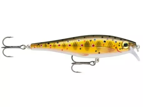 WOBLER RAPALA BX Minnow 10 TR