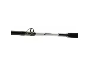 DAIWA prut na moře Tanacom 2,1m 400-1000g