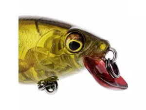 Westin: Wobler BuzzBite SR Crankbait 5cm 6g Low Floating 3D Headlight