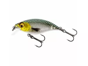 Westin: Wobler BuzzBite SR Crankbait 5cm 6g Low Floating 3D Headlight