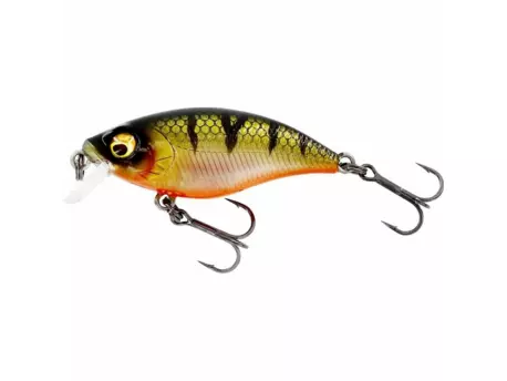 Westin Wobler BuzzBite SR Crankbait 5cm 6g Low Floating Bling Perch