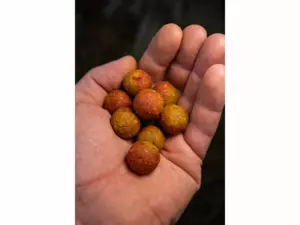 CHYTIL Master Carp Boilies 20mm