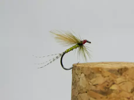 Tommi Fly Jepice 19