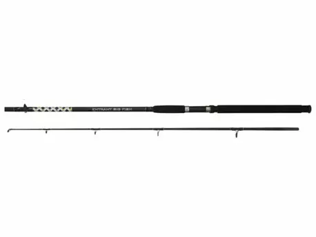 Carp Zoom Prut Bigfish Entrant  EBF - 240 cm/200-500 g/2 díl