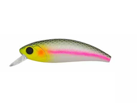 Carp Zoom Wobler Immortal Shad- 5 cm/4 g/plovoucí/pstruh