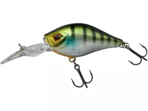 Blue Gill GB