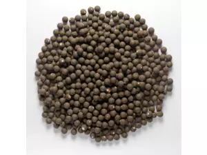 MIVARDI Rapid Boilies Starter - Monster & Halibut (3500g | 24mm)