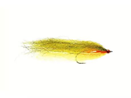 Fulling Mill Streamer Roach