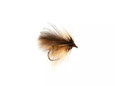 Luboš Roza spectra caddis