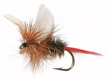 Unique Flies Coachmann Brown