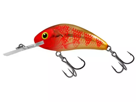 SALMO Wobler Rattlin Hornet Floating Golden Red Head - 5,5 cm 10,5 g