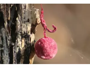 Nikl Práškový dip Strawberry 60g