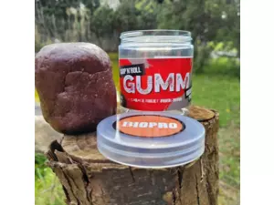 Carp Time G.B.U. GUMM Obalovací těsto 200g