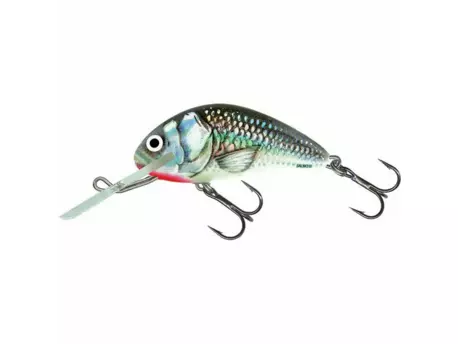 SALMO Wobler Hornet Sinking Holographic Grey Shiner 5cm 8g