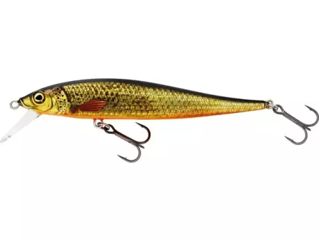 Westin Wobler Jerkbite SR Jerkbait Rudd 9 cm 8 g