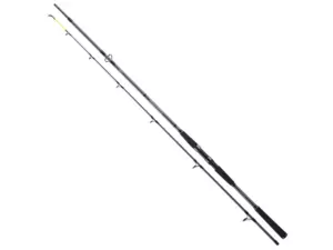 Daiwa Prut Seahunter X 2,4m 40-120g