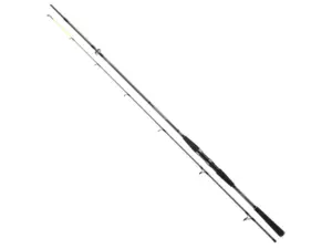 Daiwa Prut Seahunter X 2,4m 40-120g