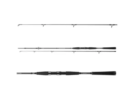 Daiwa Prut Seahunter X 2,4m 40-120g