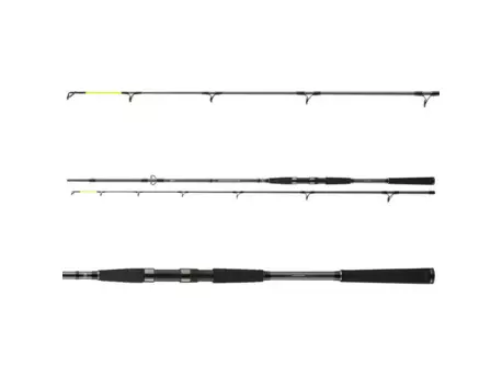 Daiwa Prut Seahunter X 2,6m 60-180g