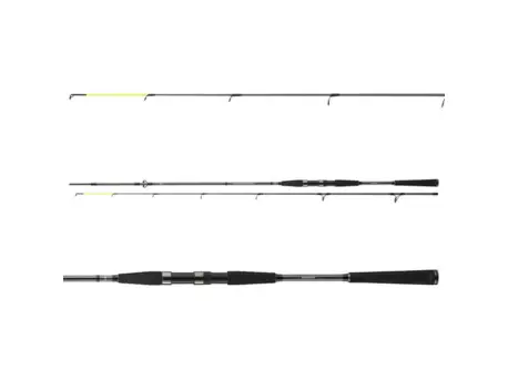 Daiwa Prut Seahunter X 2,7m 30-60g