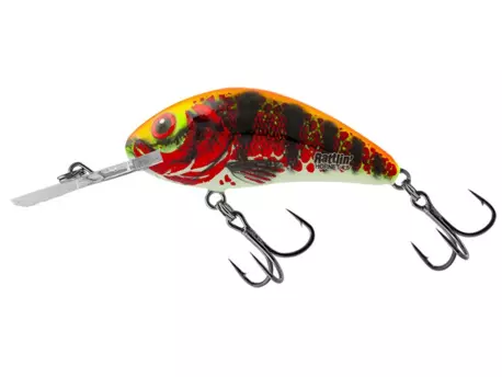 Salmo Wobler Rattlin Hornet Floating Holo Red Perch 6,5 cm