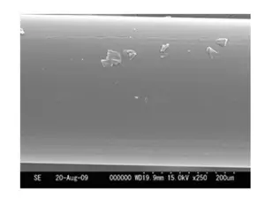 P-Line vlasec Floroclear 1000 m