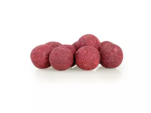 Sportcarp tvrzené boilies Mulberry Garlic Hard Ons ø 20 mm