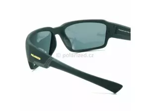 POLARIZED polarizační brýle ACTIVE SPORT 2S20 černé, modré sklo