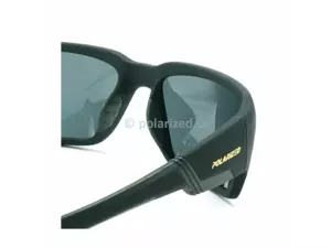 POLARIZED polarizační brýle ACTIVE SPORT 2S20 černé, modré sklo