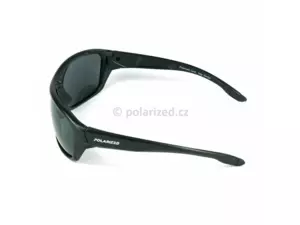 POLARIZED polarizační brýle ACTIVE SPORT 2.236-A