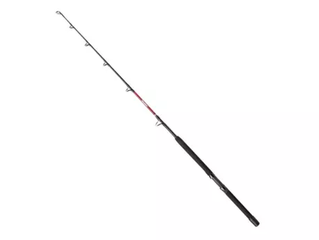 PENN Prut Warfare trolling 1,7m 50-100lbs VÝPRODEJ